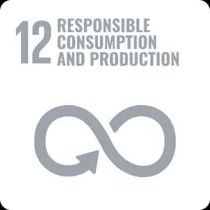RESPONSIBLE CONSUMPTION AND PRODUCTION