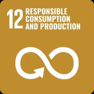 RESPONSIBLE CONSUMPTION AND PRODUCTION