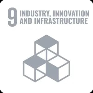 INDUSTRY, INNOVATION, AND INFRASTRUCTURE