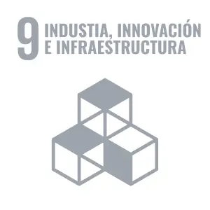 INDUSTRIA, INNOVACIÓN E INFRAESTRUCTURA