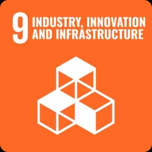 INDUSTRY, INNOVATION, AND INFRASTRUCTURE