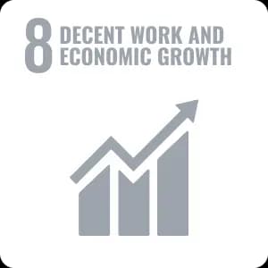 DECENT WORK AND ECONOMIC GROWTH