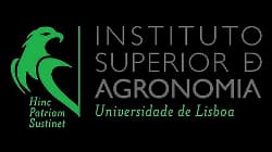 Internacional